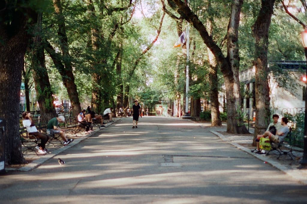 summer-2025-04.jpg